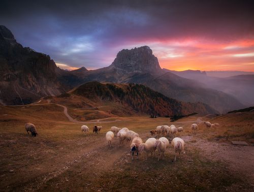 Возвращение домой