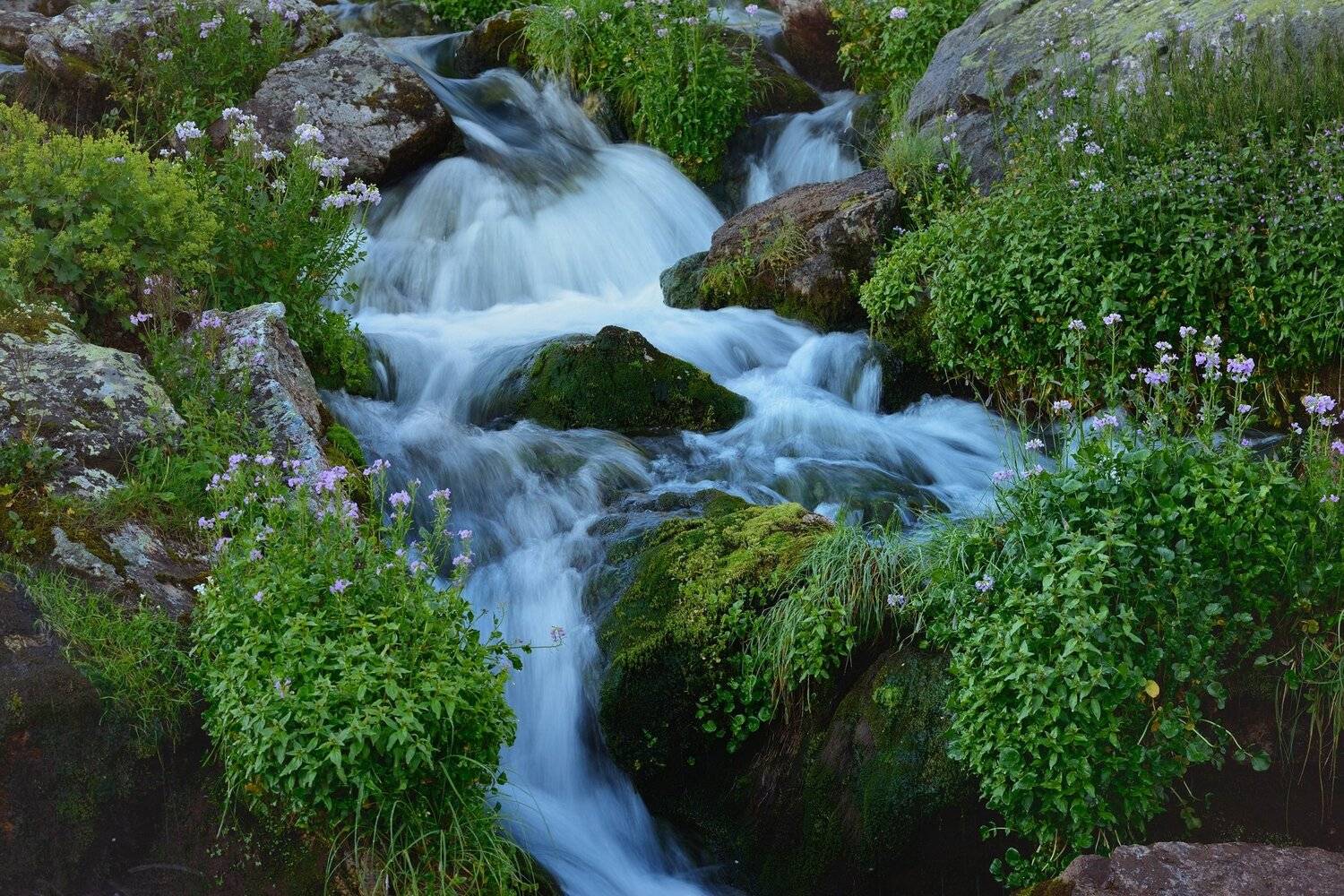 горы лето кавказ ручей, Александр Жарников