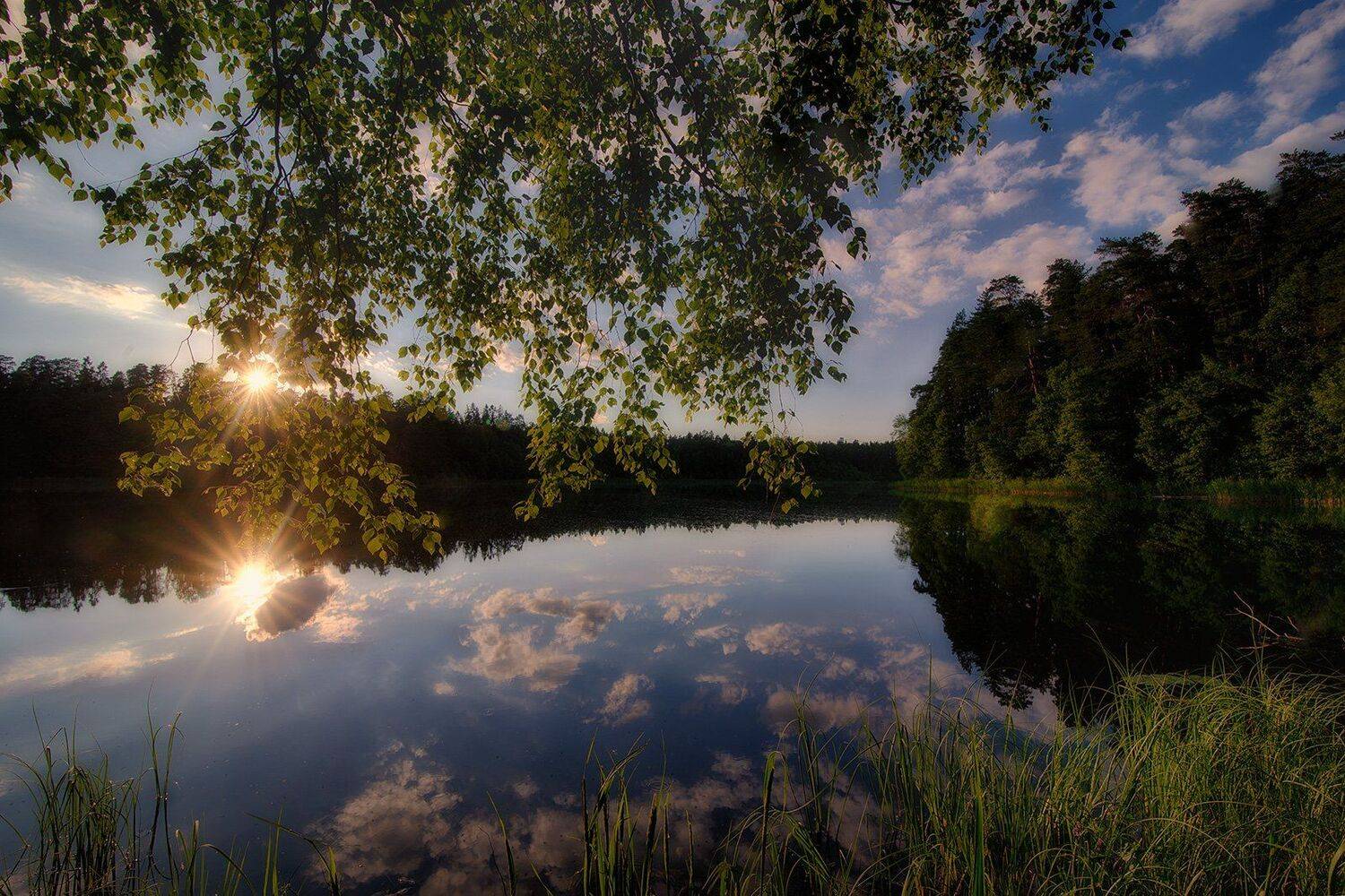 , Федотов Антон