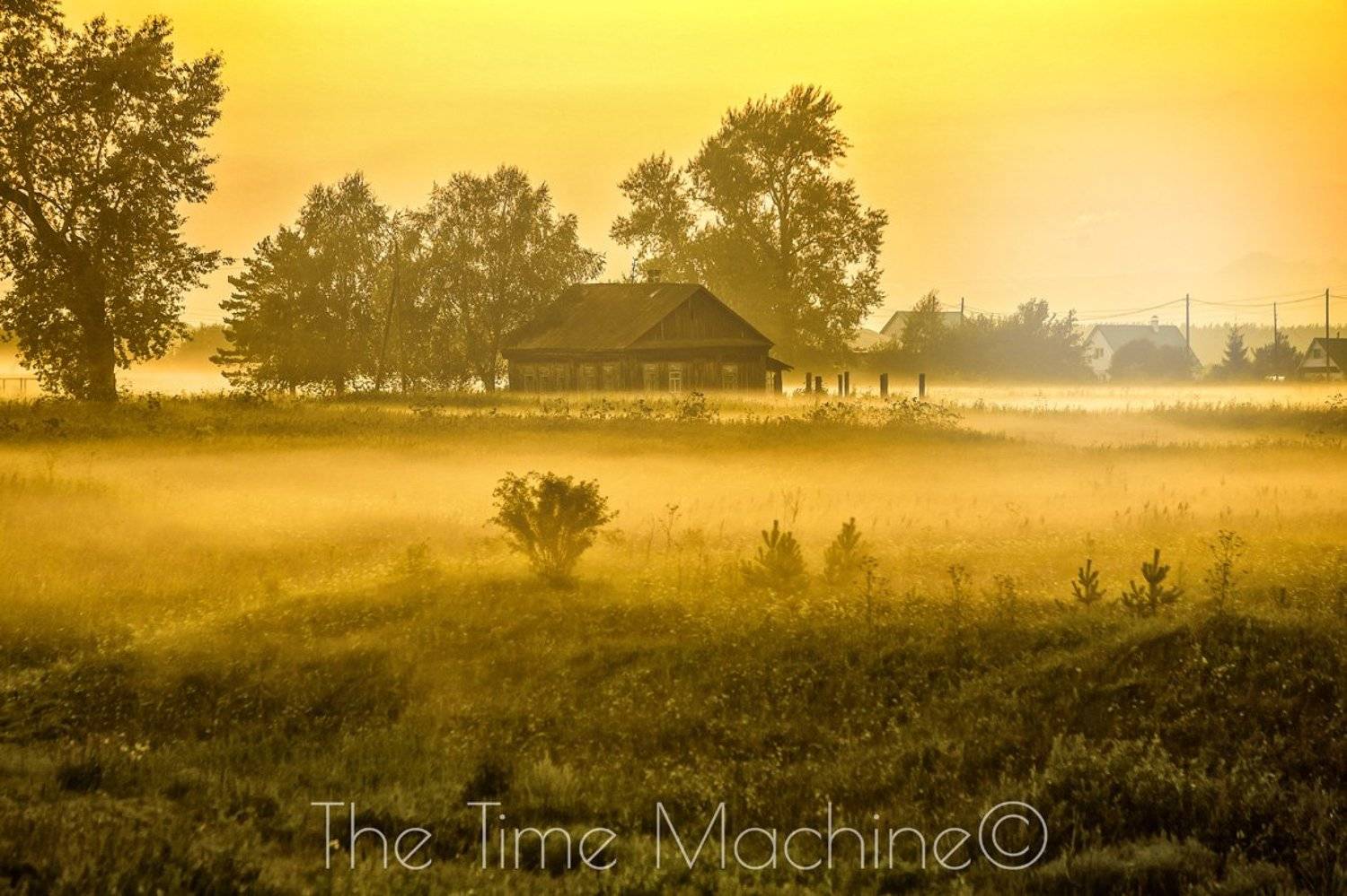 , Михаил Бове