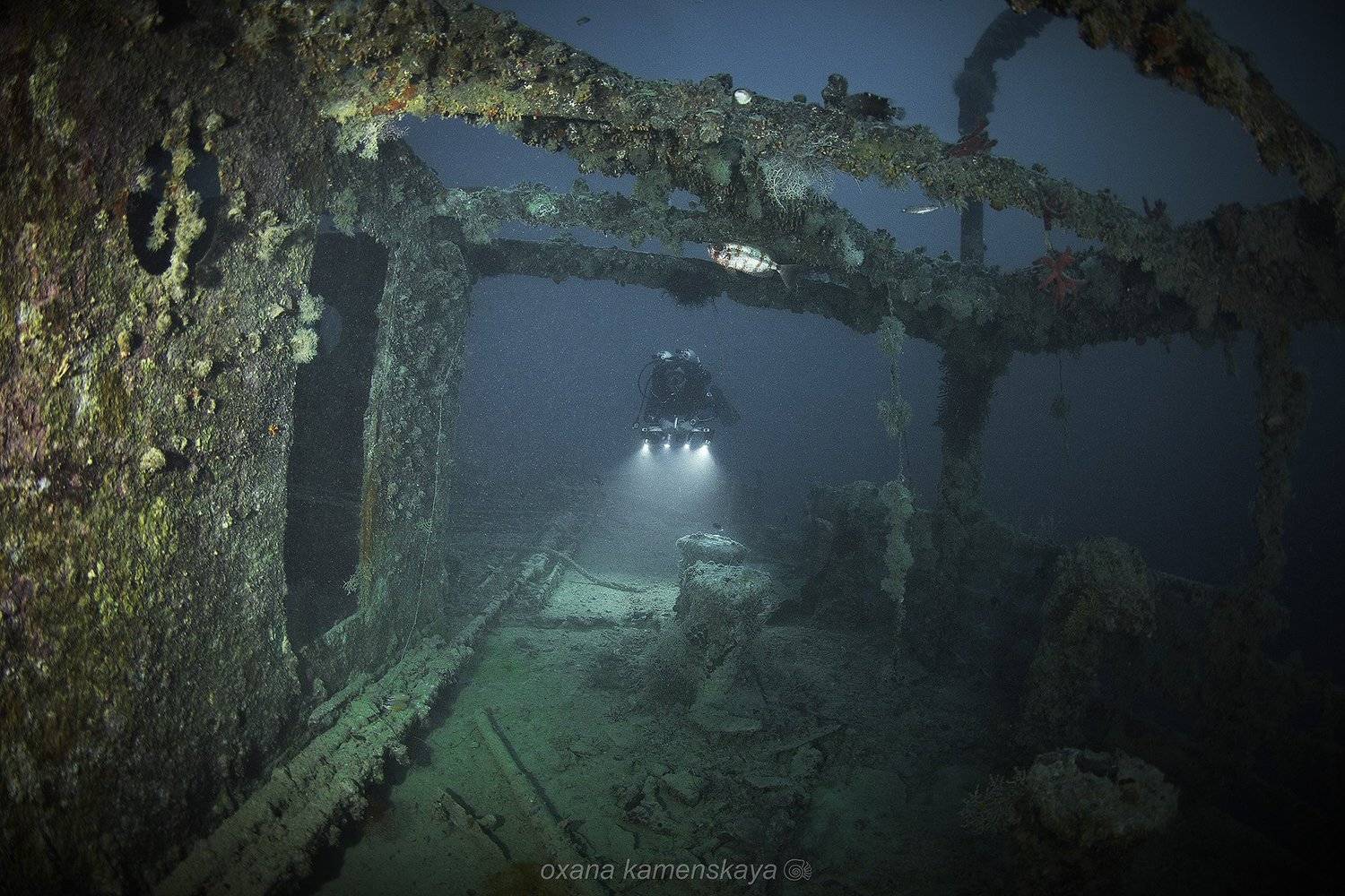 wreck underwater diver blue, Оксана Каменская