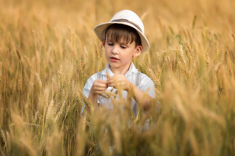 фотопрогулка, детская фотосессия, лето, июнь, дети, детская фотосессия, детский фотограф, фотосессия, радость, мальчик, малыш, счастье, детский и семейный фотограф, детское фото, дети на фото, пшеница, урожай, закат, вечер, восторг Пшеница... фото превью
