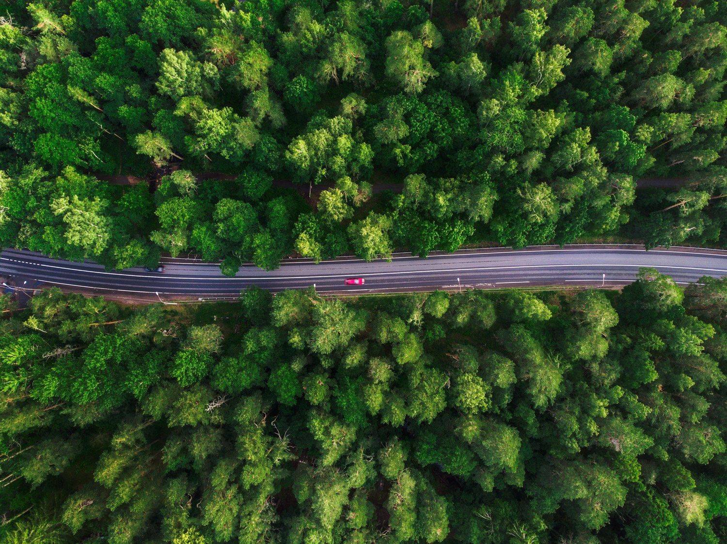 , Юрий Столыпин