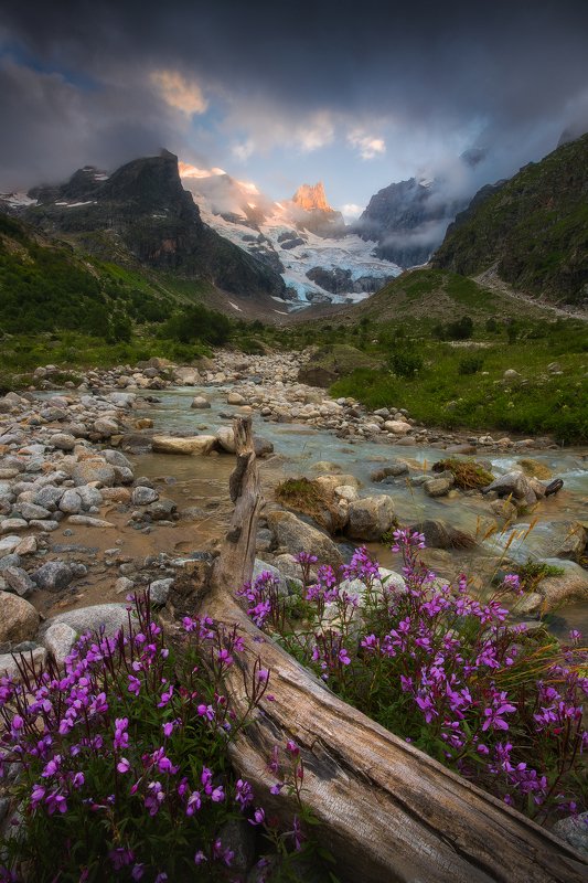 Двойняшка фото превью