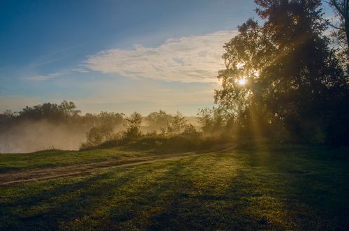 Туманный расвет