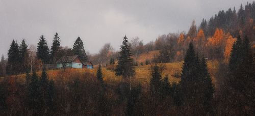 Поздняя осень.