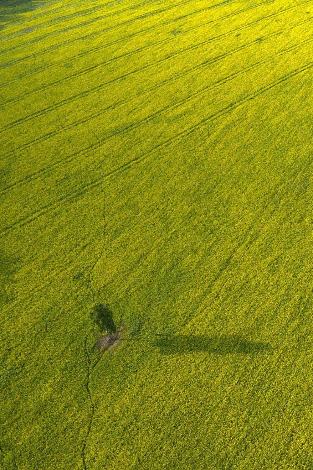 , Дмитрий Доронин