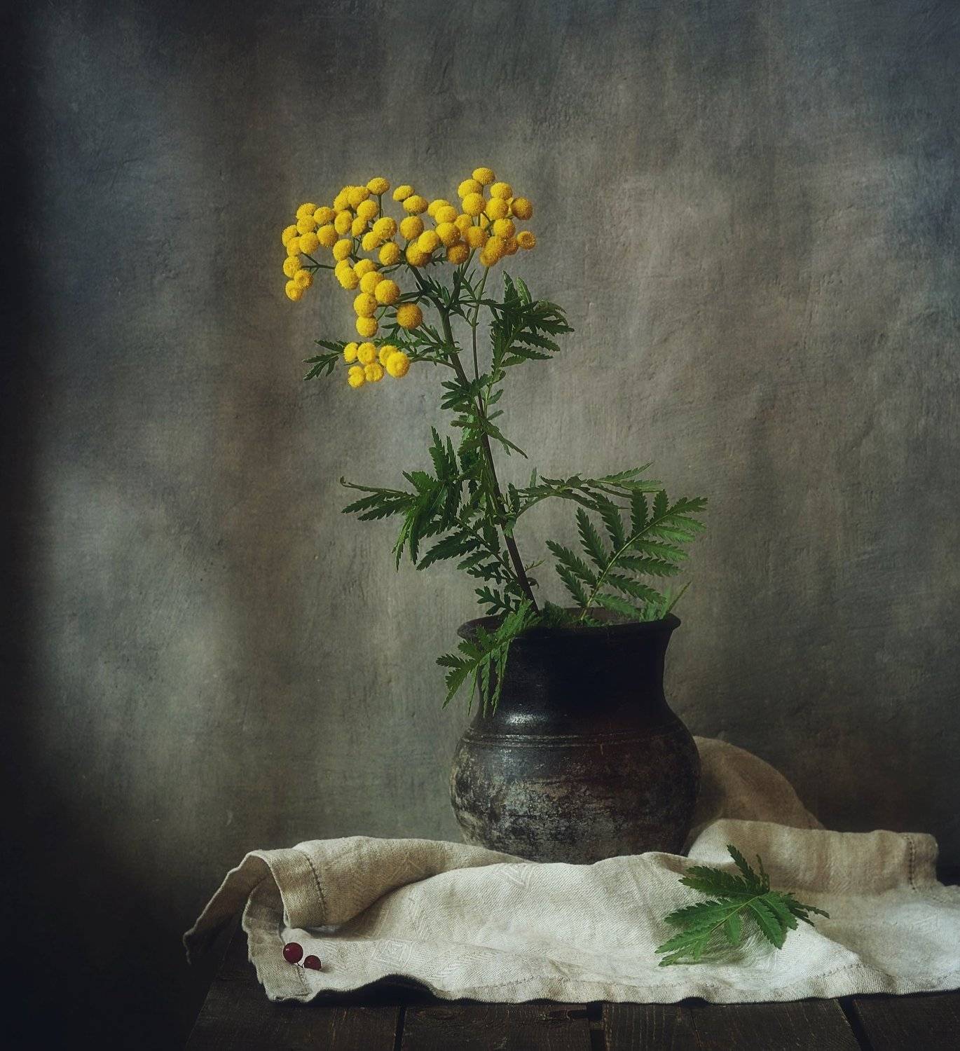 натюрморт,still life,пижма, Наталия К