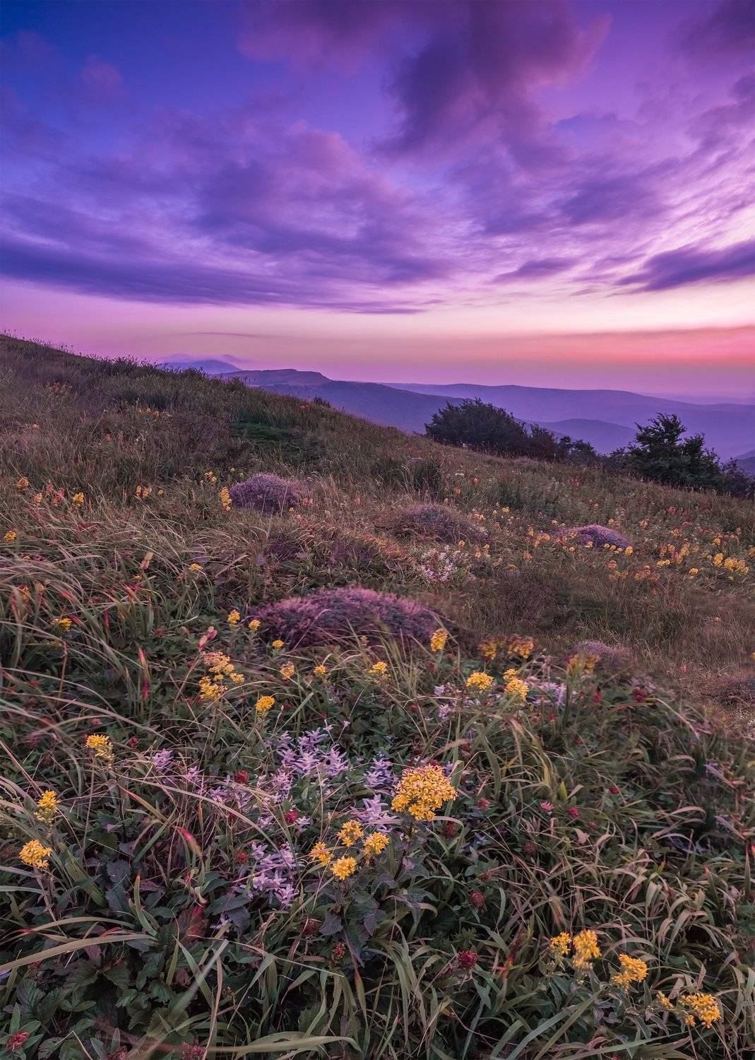 , Станислав Савицкий