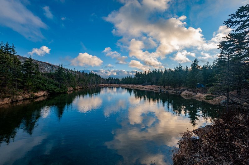 Nature, Forest, Tree, Landscape, Water, Lake, Scenics, Outdoors, Mountain, Sky, Reflection, Summer, Beauty In Nature, Blue, Rock - Object, Green Color, Travel, Tranquil Scene, Autumn Горное озеро фото превью