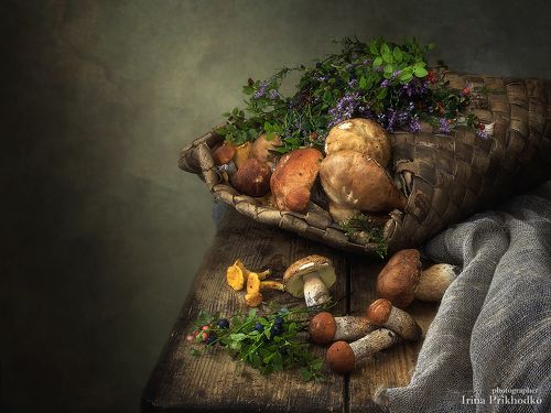 Грибной короб