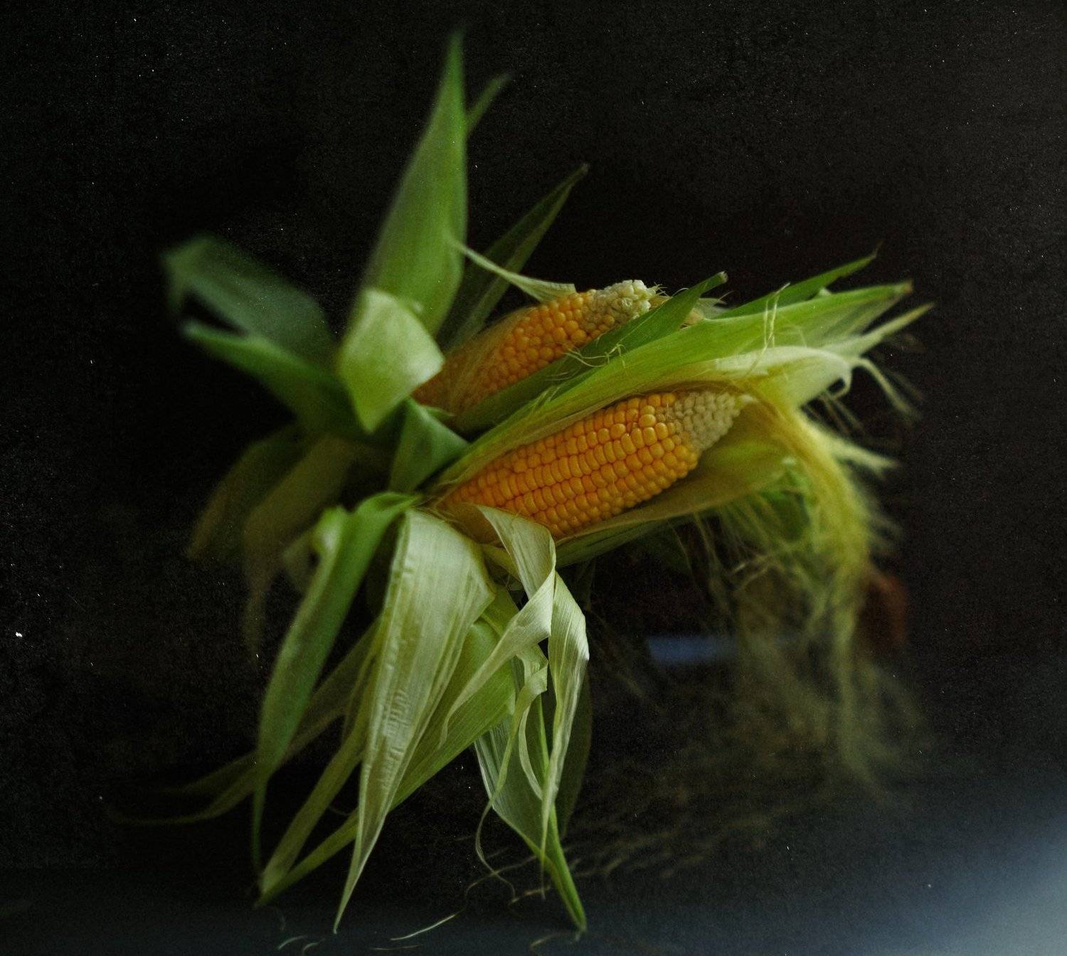 , Димитър Стоянов