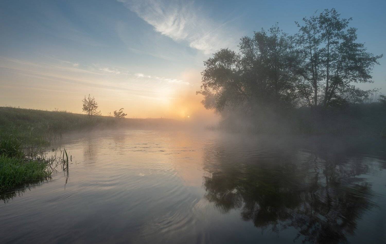 , Александр Бредихин