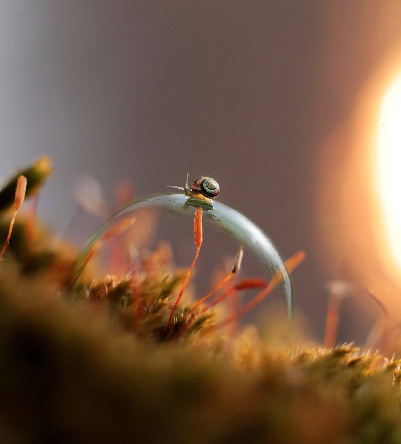 , Юлия Хворостяная