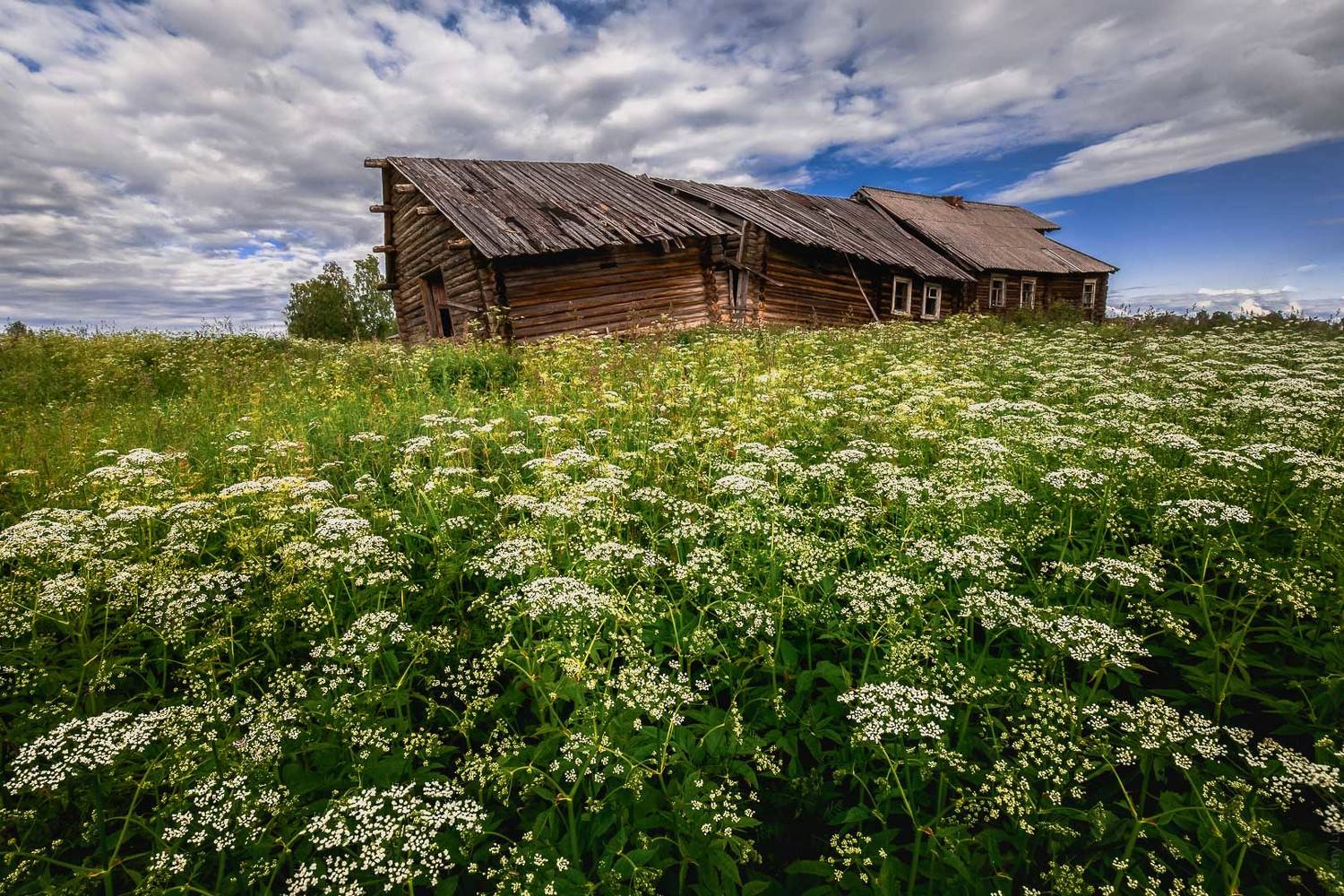 , Евгений Луцко