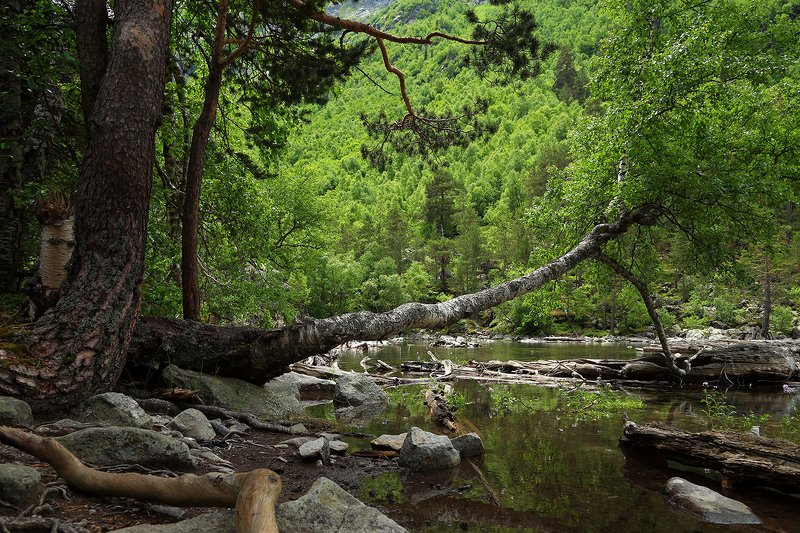 бадукские, озера, тебердинский, заповедник, кчр, карачаево, черкессия, домбай  фото превью