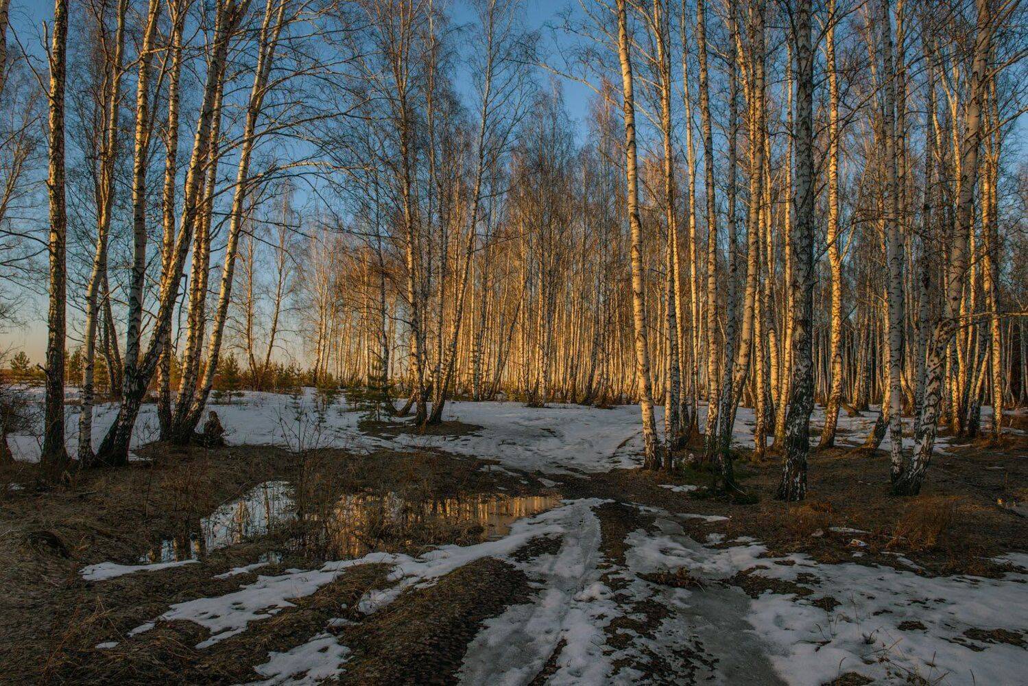 , Кутыгин Эдуард