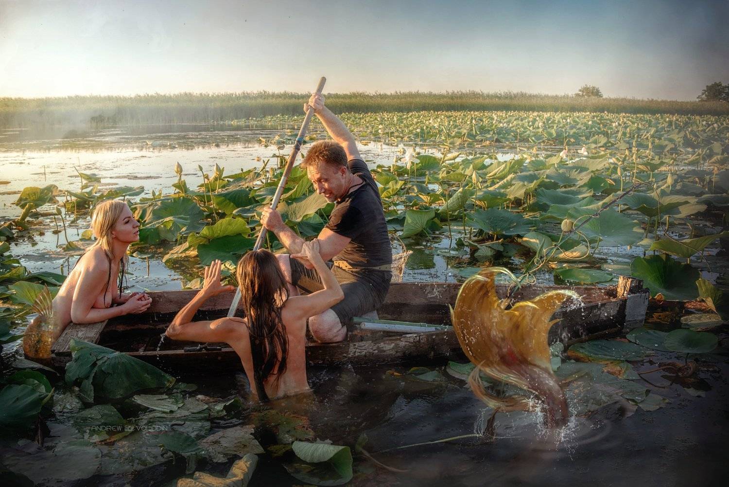 русалки, рыбак, лодка, лотосы, ню, хвост, весло, закат, Андрей Володин