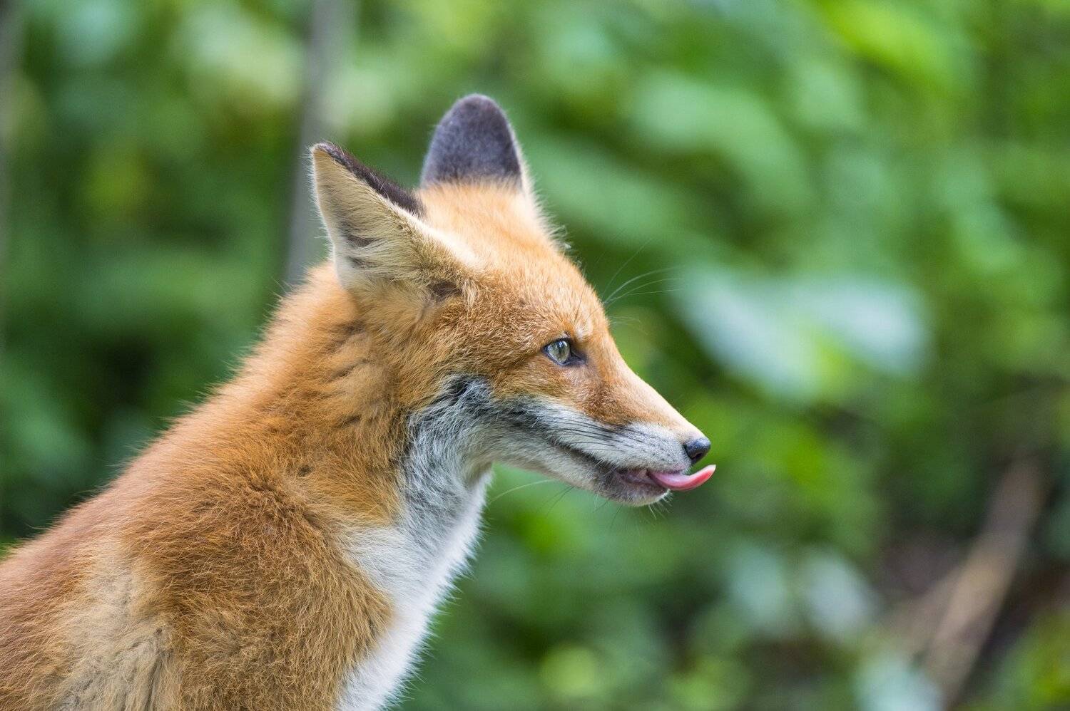 , Юрий Кулаков