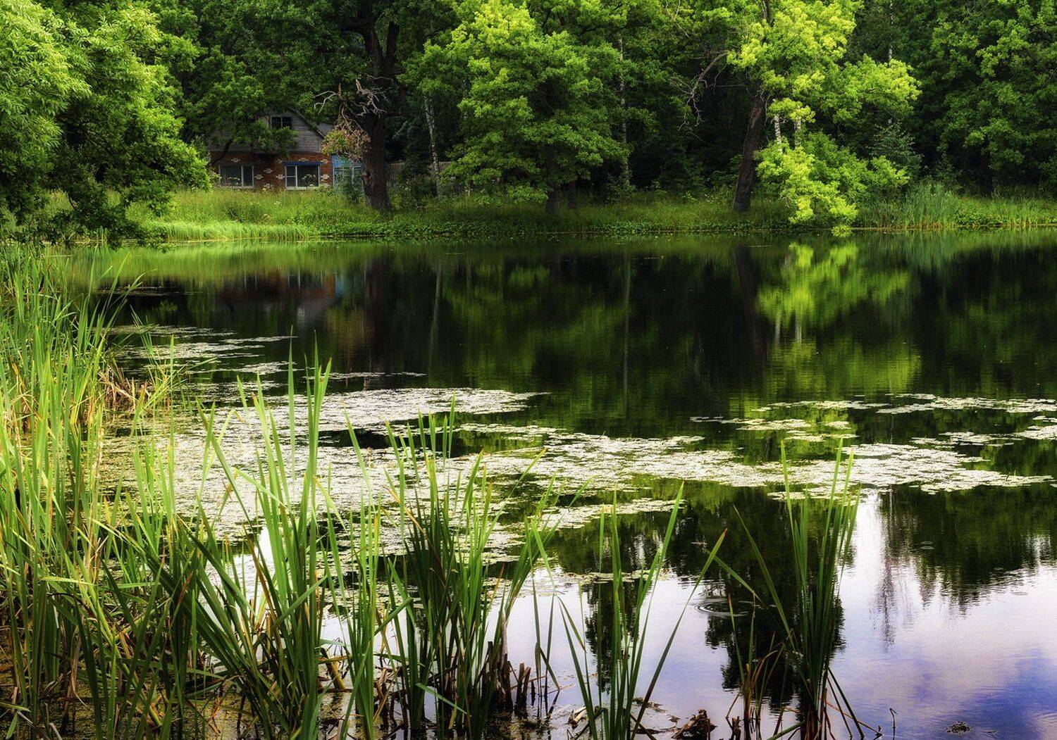 смоленск, вязьма, хмелита, Владимир Штыриков