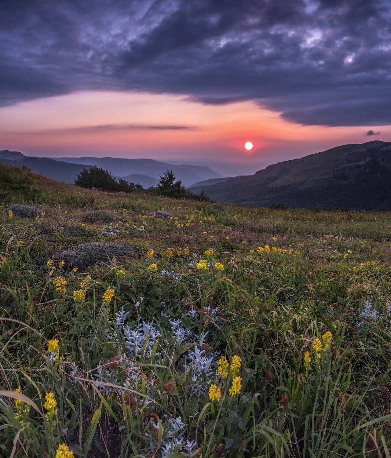 , Станислав Савицкий