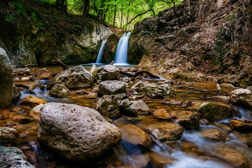 Крым. Лесная тишина.