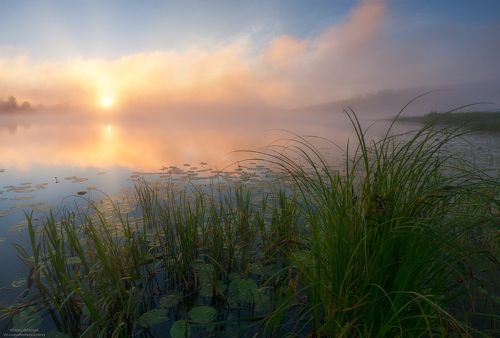 На природе.