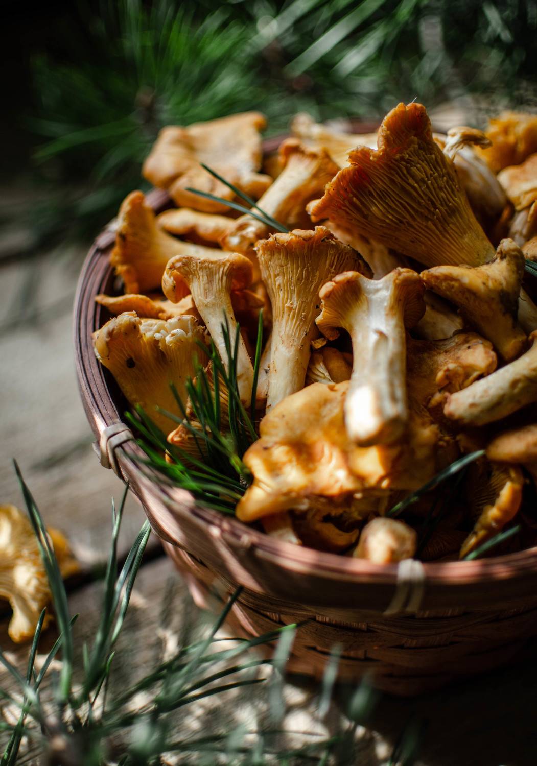 , Чернякова Анна