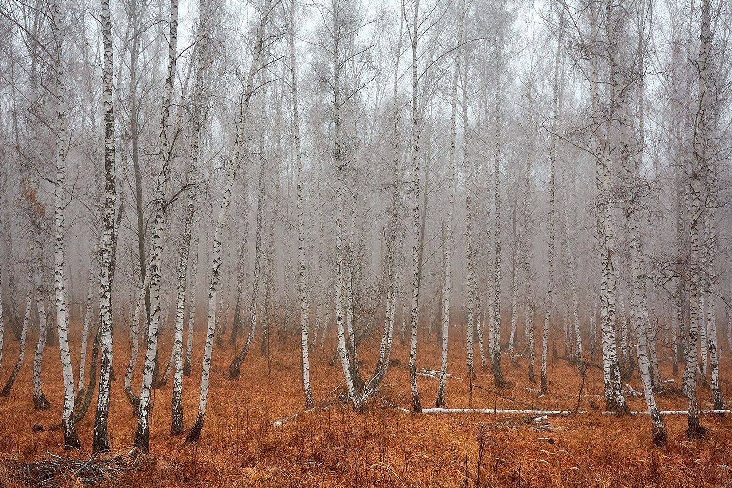 южный, урал, долгие горы, орск, новотроицк башкирия талкас, Качурин Алексей