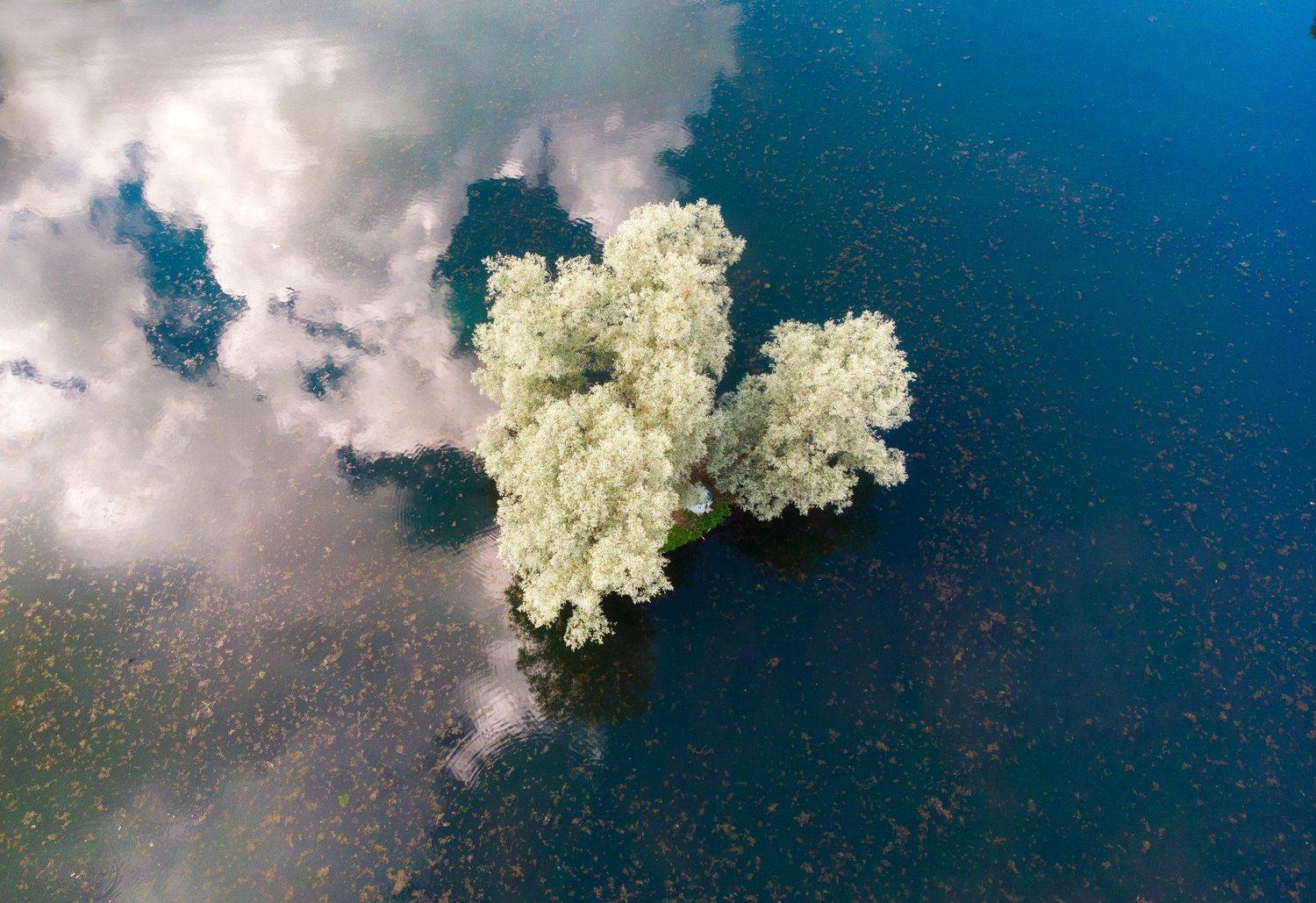 , Юрий Столыпин