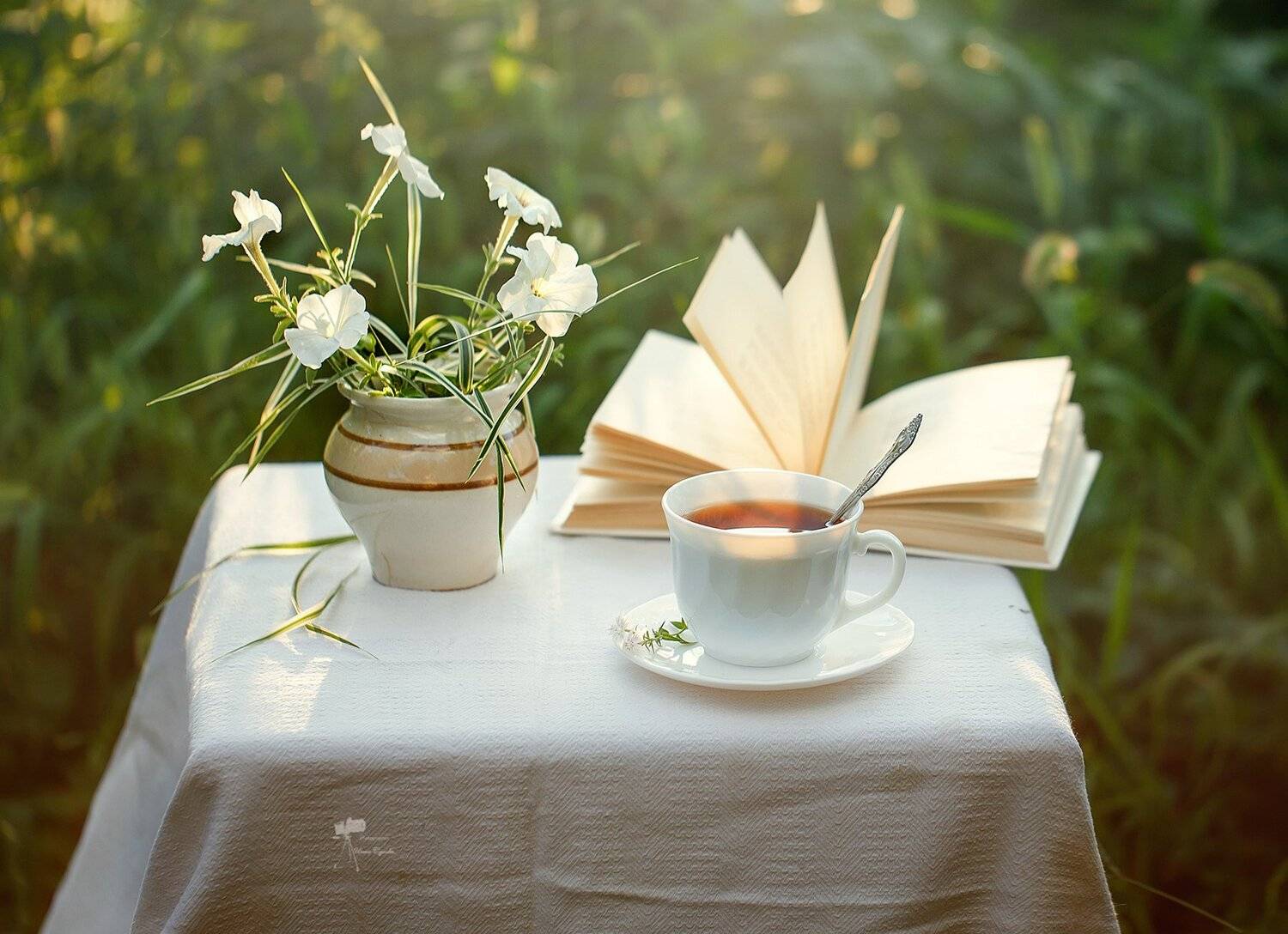 , Инна Сухова