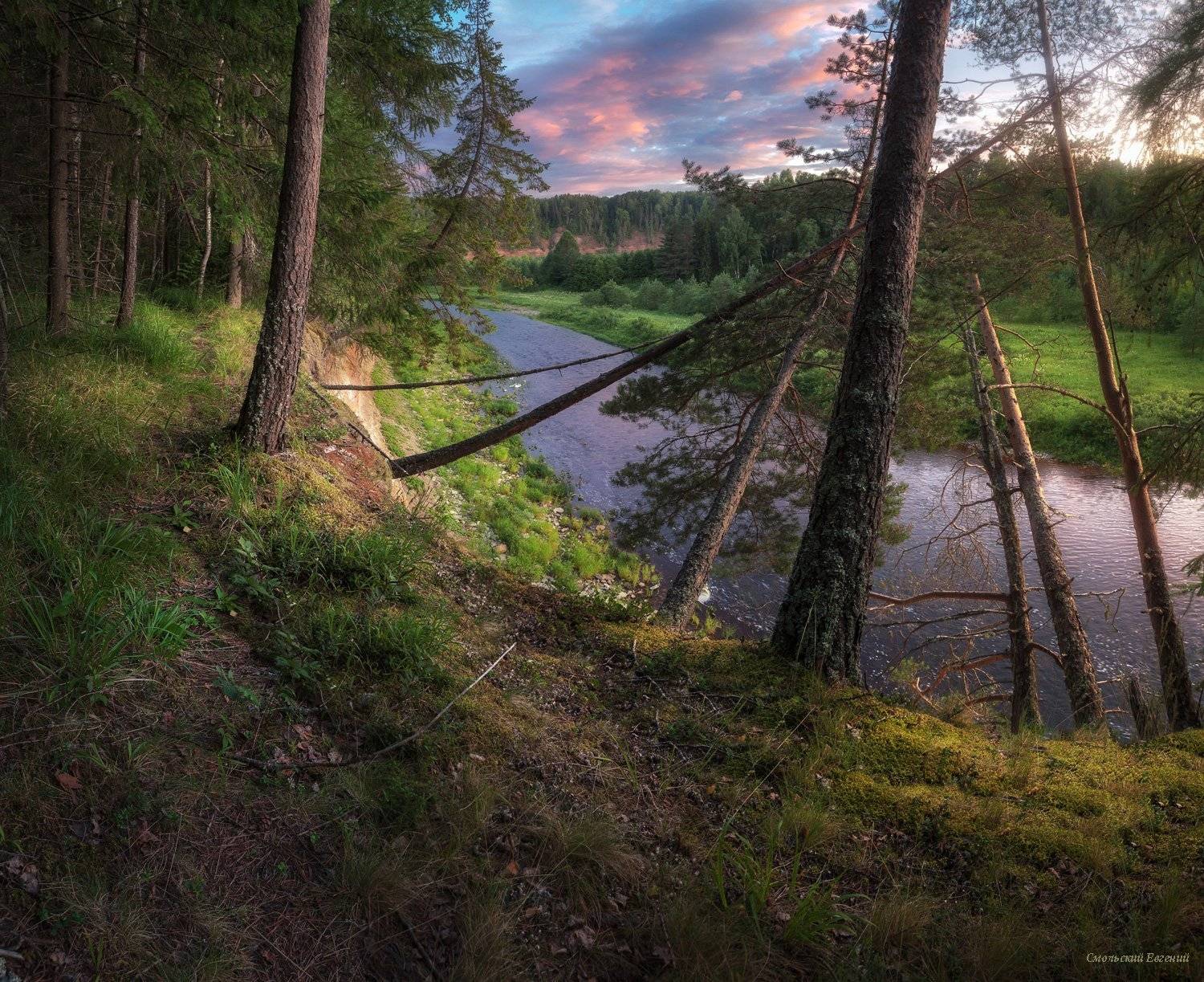 закат, поле, лето, вечер, река, лес, Смольский Евгений