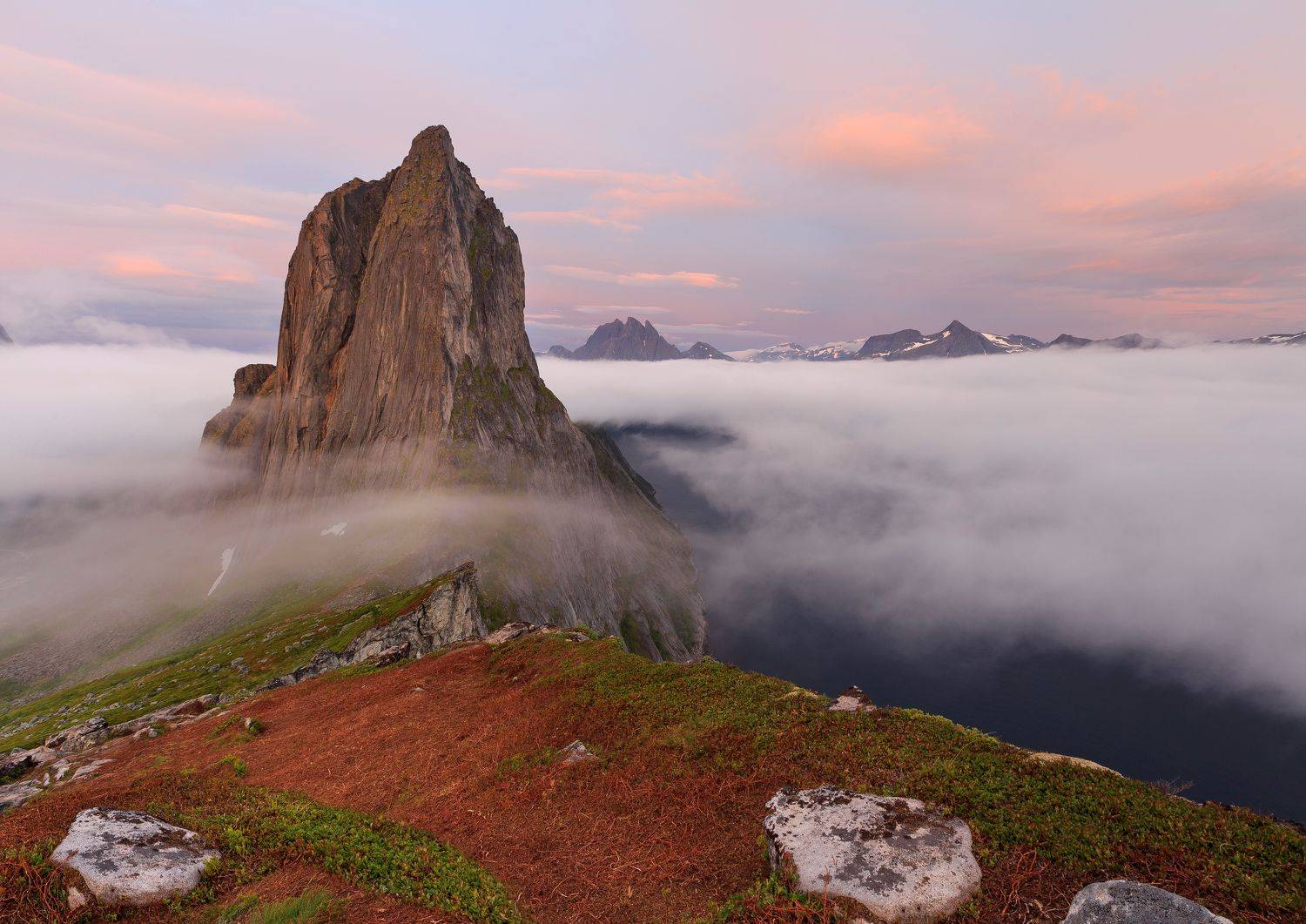 , Татьяна Проценко