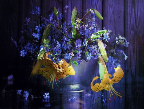 yellow lily and blue 