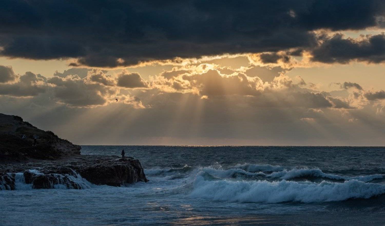, Андрей Гусаченко