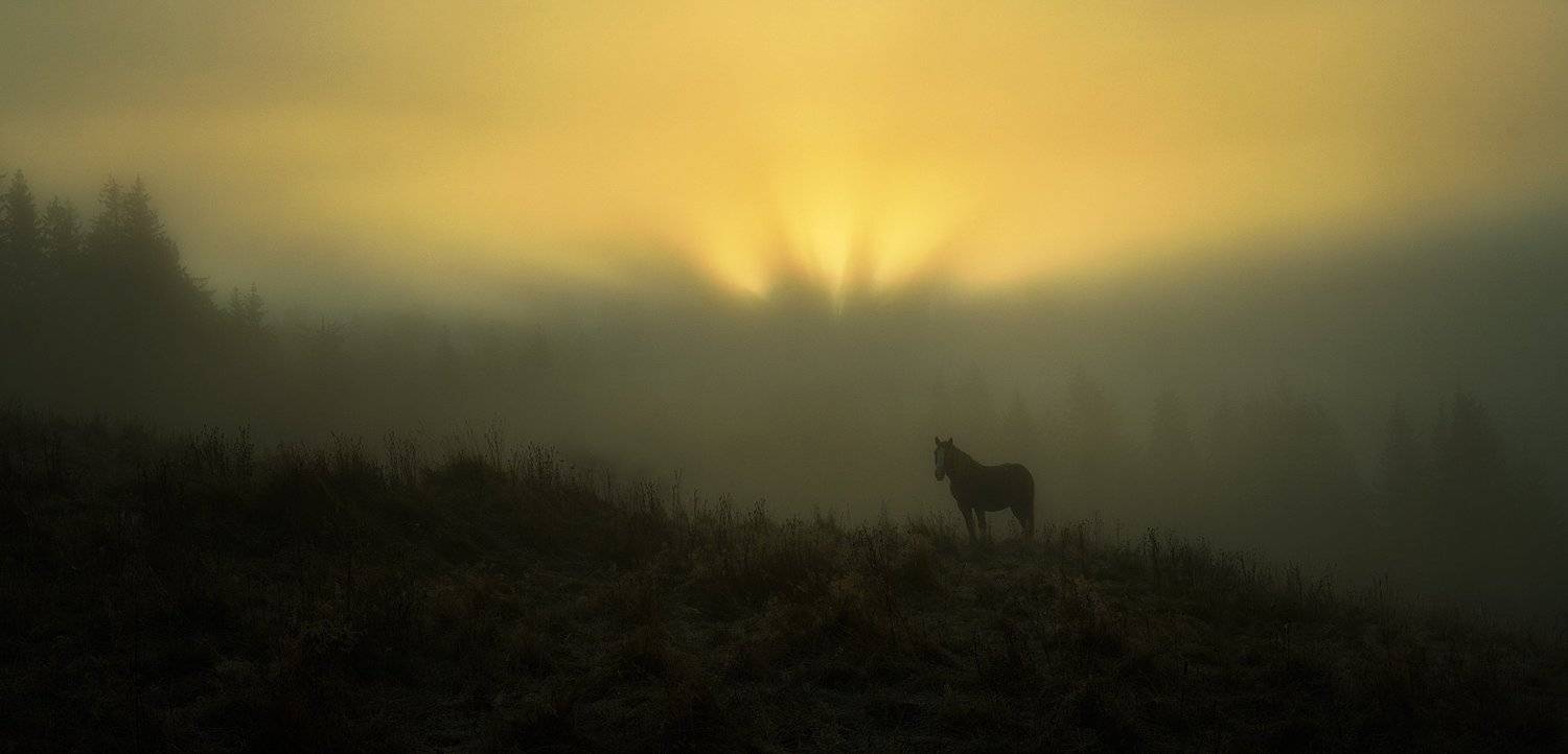 горы, осень, туман, лошадка, Вьюшкин Игорь