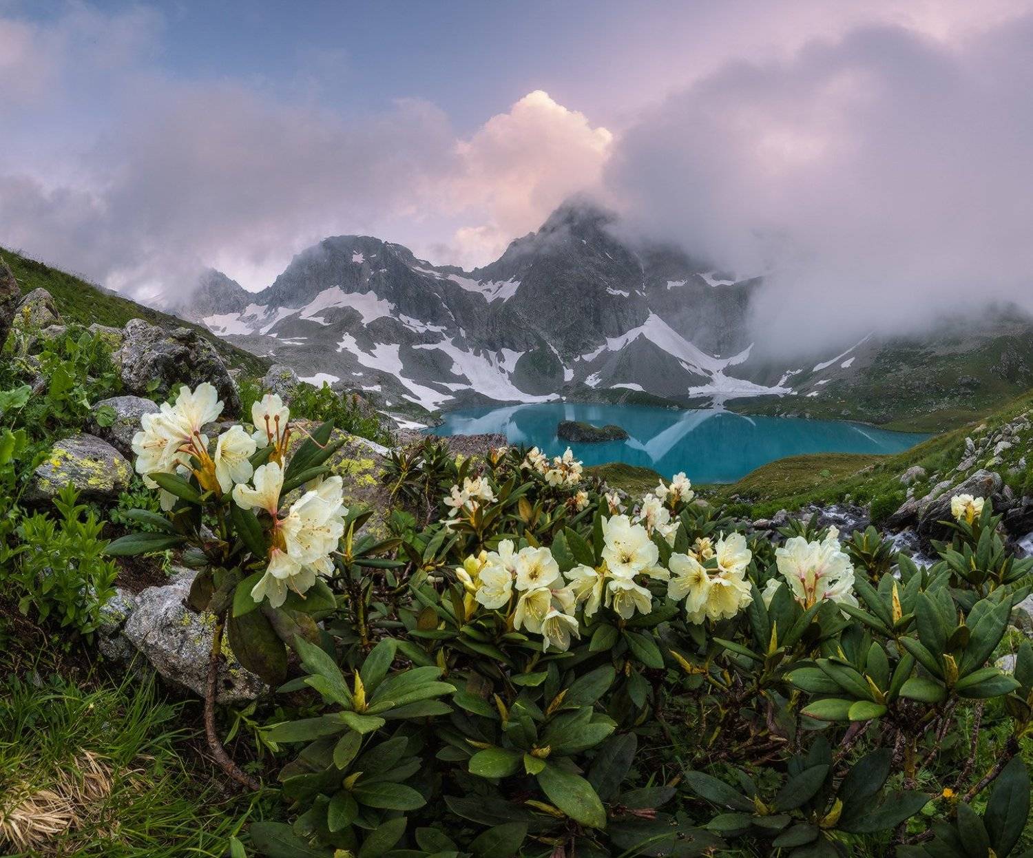 северный, кавказ,рододендрон, большое имеретинское, озеро безмолвия, вечер, июль,, Николай Мысливцев