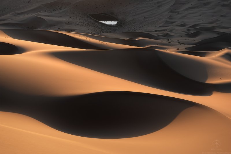 The Pearl фото превью