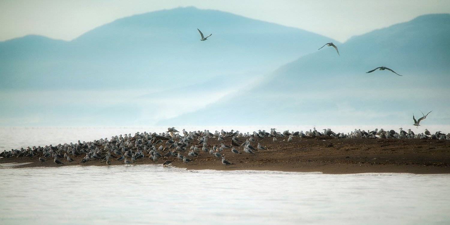 , Рашид Усманов