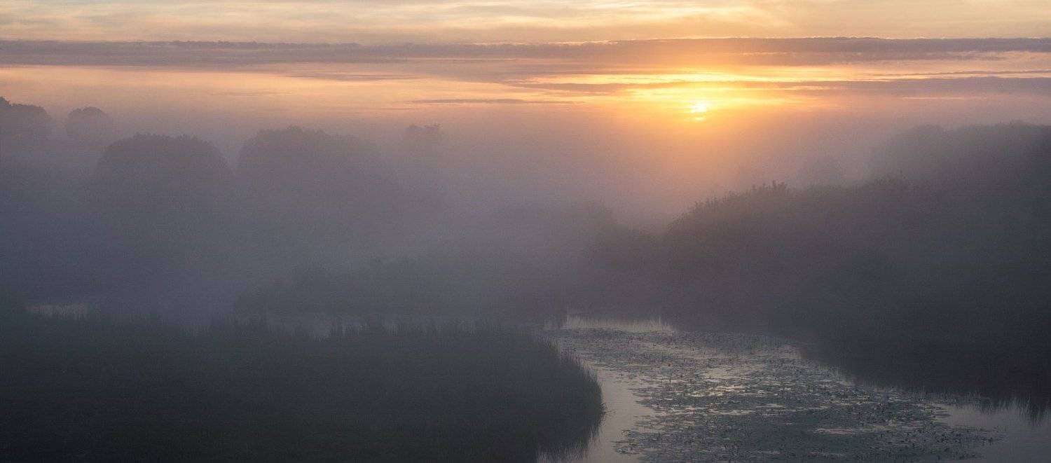 , Сергей Добровольский