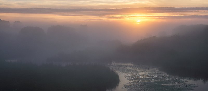 Силуэты... фото превью