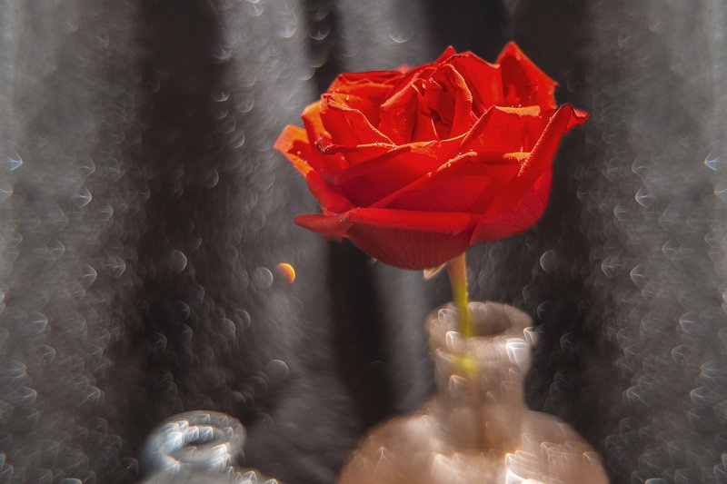 Макроцвет. фото превью