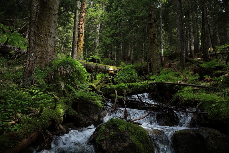тебердинский, заповедник, кчр, карачаево, черкессия, домбай  фото превью