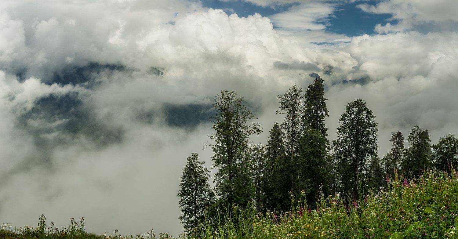 , Игорь Мелекесцев