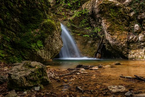 В Крымском лесу