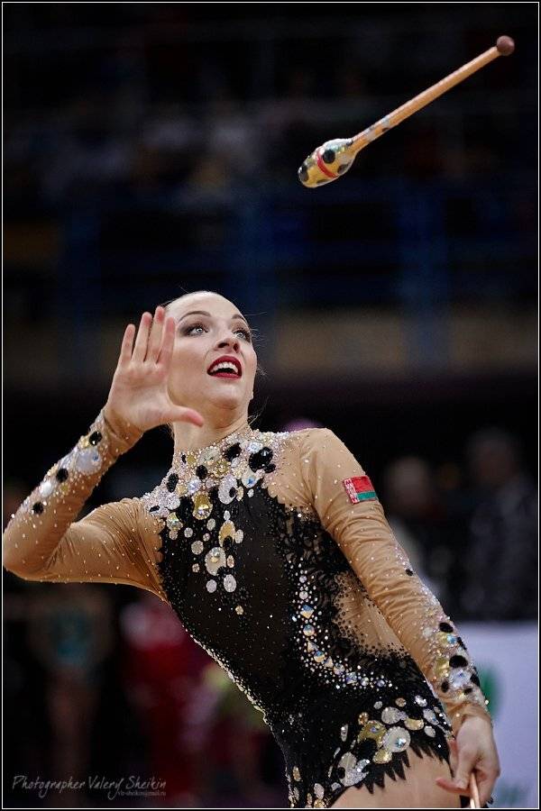 , Валерий Шейкин