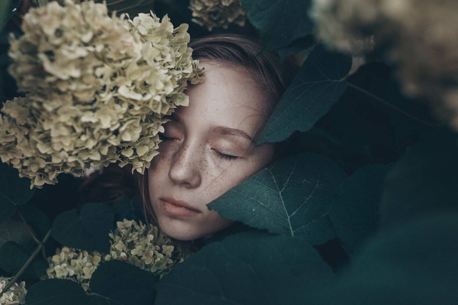 35mm, 4x5, 6x6, 6х6, 85mm, Art, Art nude, Ballerina, Ballet, Battur, Beautiful, Beauty, Canon, Canon 5D Mark III, Car, Color, Dance, Dress, Emotion, Eyes, Face, Flowers, Ganzo, Genre, Girl, Hair, Hero, Irinadzhul, Light, Lilac, Model, Mongol, Mongolia, Mo, Вероника Гергерт