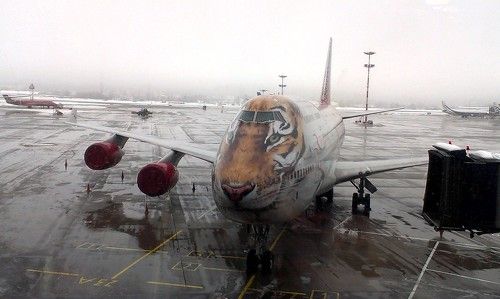 Хищная авиация