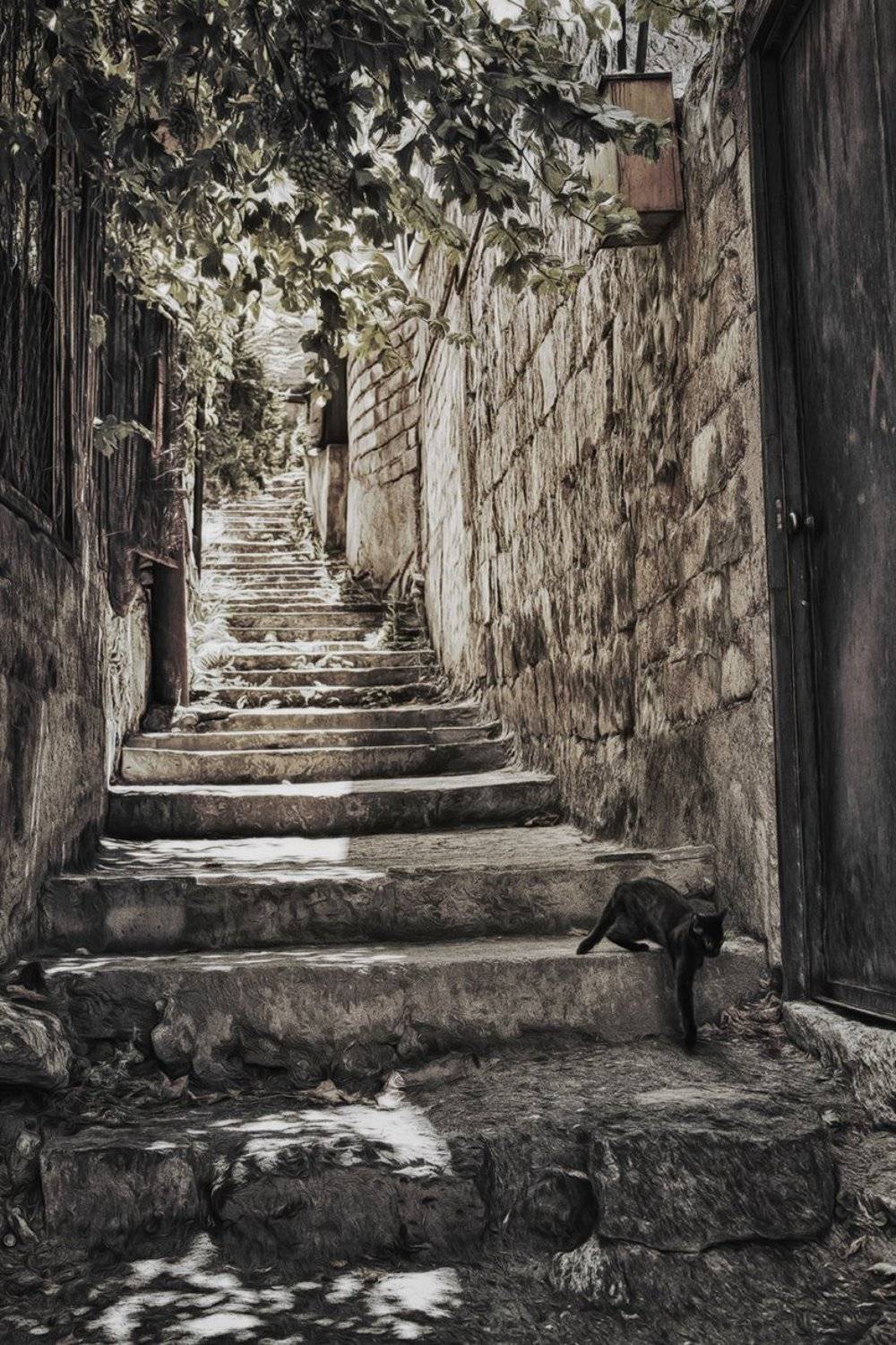 , Гагик Мхитарян