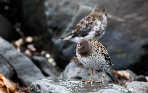 Про утренний цигун